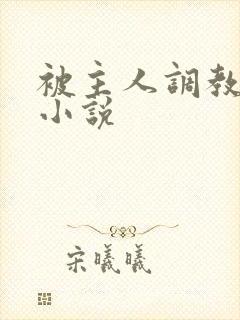 被主人调教惩罚小说