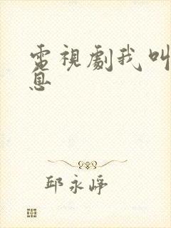 电视剧我叫赵出息封面