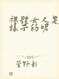 裸体女人是什么样子的呢