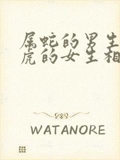 属蛇的男生和属虎的女生相配吗