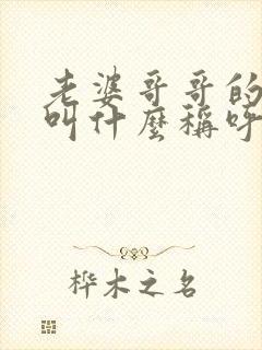 老婆哥哥的老婆叫什么称呼,关系是