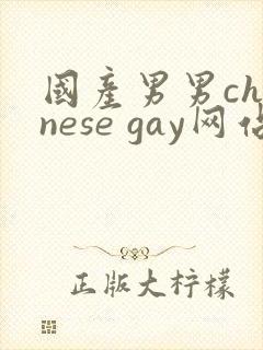 国产男男chinese gay网站