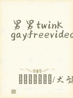 男男twinkgayfreevideo