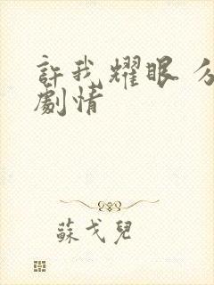 许我耀眼 分集剧情