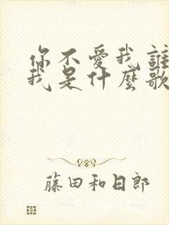 你不爱我谁会爱我是什么歌