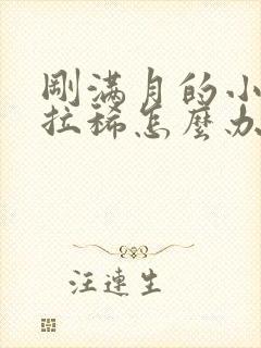 刚满月的小奶狗拉稀怎么办