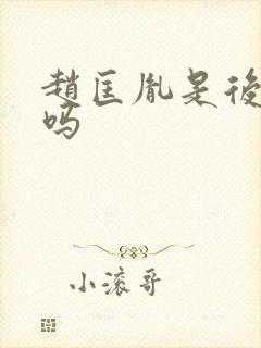 赵匡胤是后晋的吗封面