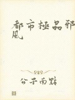 都市极品邪医岳风封面