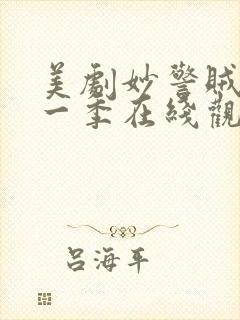 美剧妙警贼探第一季在线观看