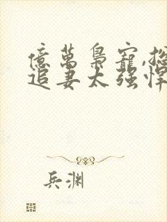 亿万枭宠,总裁追妻太强悍