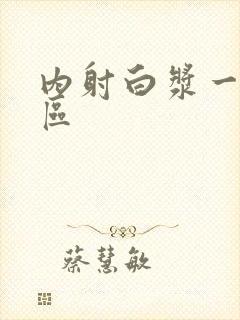 内射白浆一区二区封面