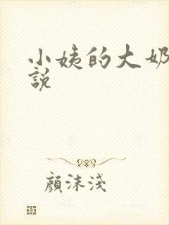 小姨的大奶子小说