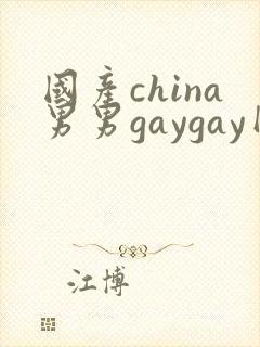 国产china男男gaygay网站