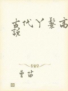 古代丫鬟高h小说