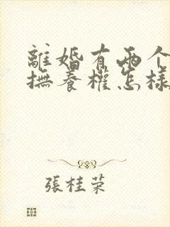 离婚有两个小孩抚养权怎样判定