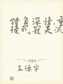 错负深情,重生后我宠夫灭渣小说免费阅读