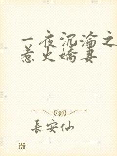 一夜沉沦之驯服惹火娇妻封面