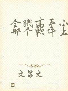 全职高手小说在哪个软件上是免费的