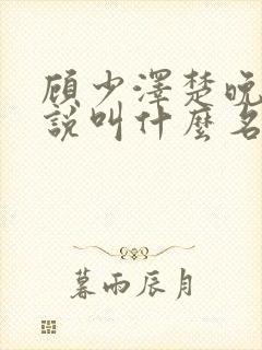 顾少泽楚晚宁小说叫什么名字封面