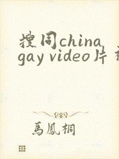 搜同chinagay video片视频