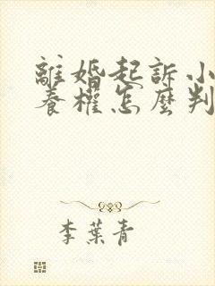 离婚起诉小孩抚养权怎么判