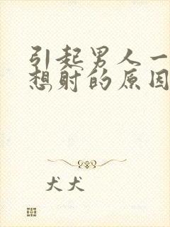 引起男人一插就想射的原因