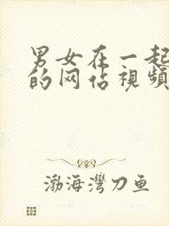 男女在一起插插的网站视频