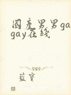 国产男男gaygay在线
