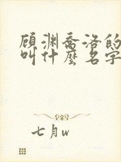 顾渊乔洛的小说叫什么名字封面