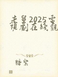 老舅2025电视剧在线观看全集免费高清