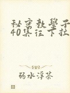秘密教学子豪第40集往下拉式