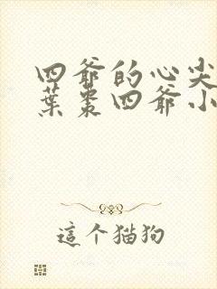 四爷的心尖宠妃叶枣四爷小说免费阅读