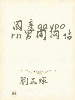 国产gayporn男同网站