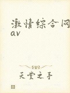 激情综合网亚洲av