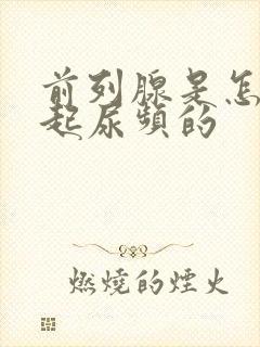 前列腺是怎么引起尿频的