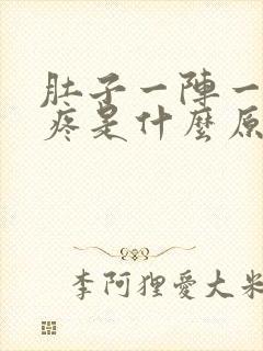 肚子一阵一阵的疼是什么原因的