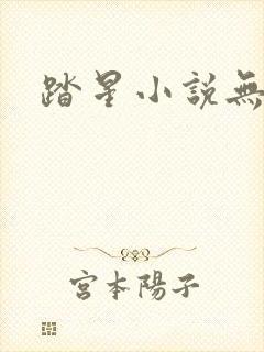 踏星小说无弹窗