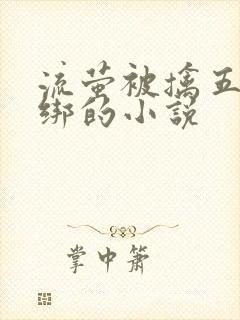 流萤被擒五花大绑的小说