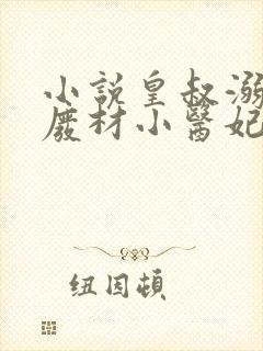 小说皇叔溺宠:废材小医妃全文封面