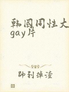 韩国同性大尺度gay片