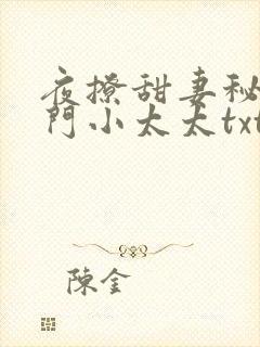 夜撩甜妻秘爱豪门小太太txt