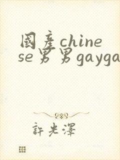 国产chinese男男gaygay网站vk