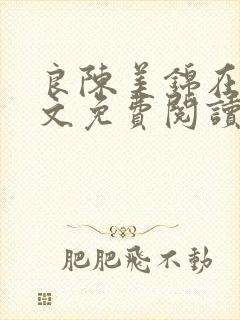 良陈美锦在线全文免费阅读封面