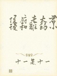 侯府老太君重生后和离的小说