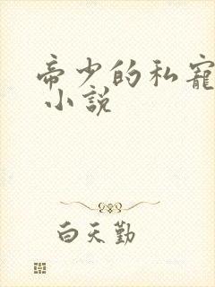 帝少的私宠甜妻 小说