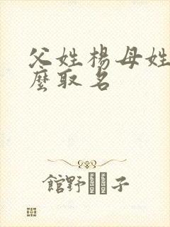 父姓杨母姓陈怎么取名