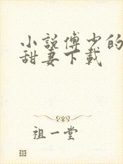 小说傅少的隐婚甜妻下载封面