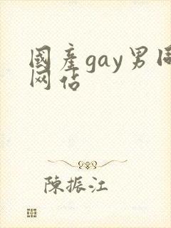 国产gay男同网站