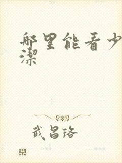 哪里能看少妇白洁