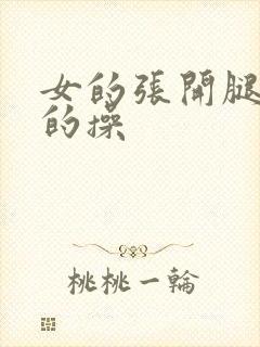 女的张开腿让男的操